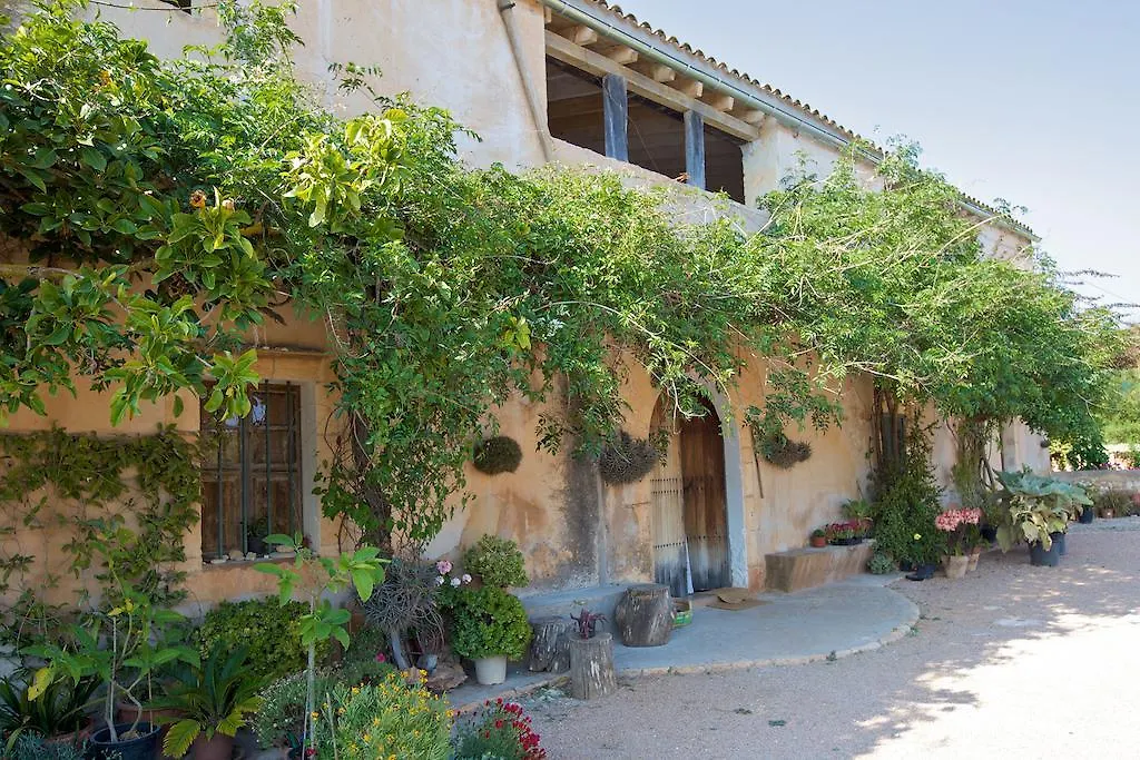 Finca Son Josep De Baix Calas de Mallorca Gospodarstwo wiejskie