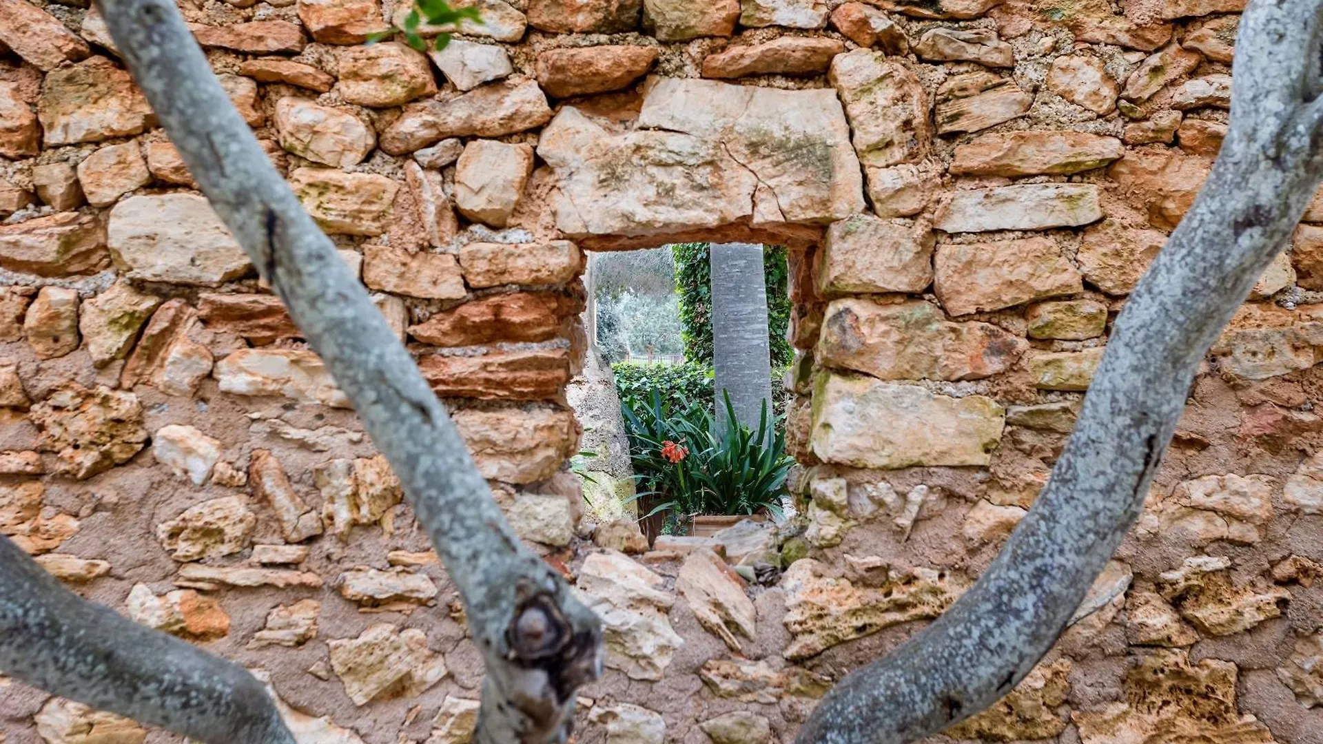 Finca Son Josep De Baix Calas de Mallorca Gospodarstwo wiejskie